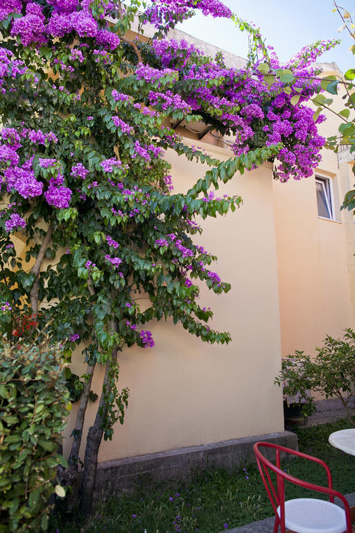 Apartments Angela Budva Zewnętrze zdjęcie